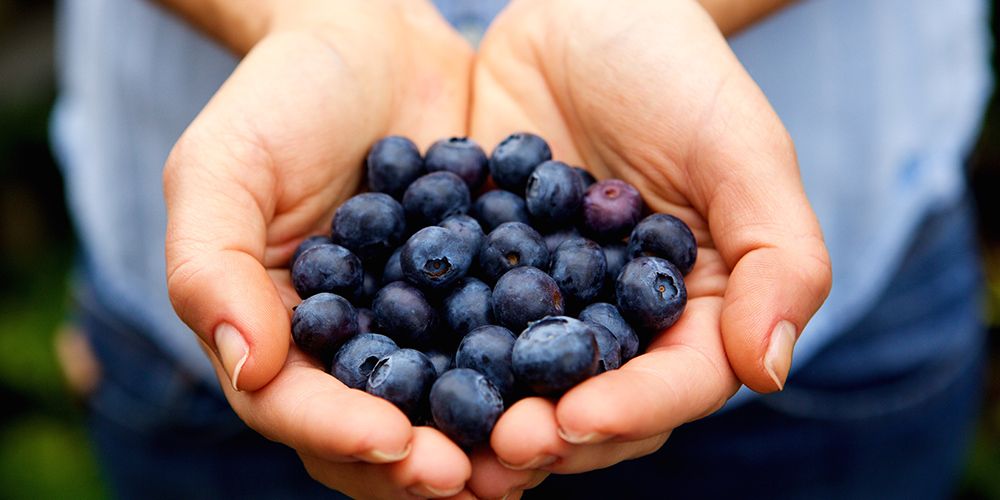 benefits of blueberry extract for skin